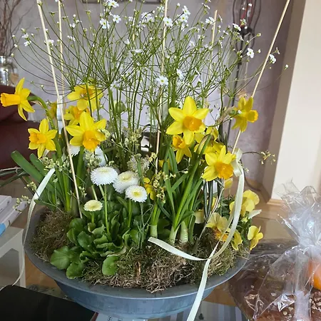 Schoenes Mit Aussicht Ueber * Štýrský Hradec