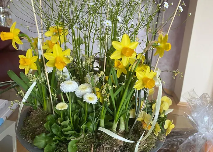 Schoenes Mit Aussicht Ueber * 그라츠